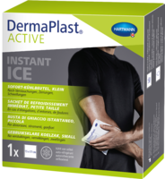 DERMAPLAST Active Instant Ice klein 15x17 cm